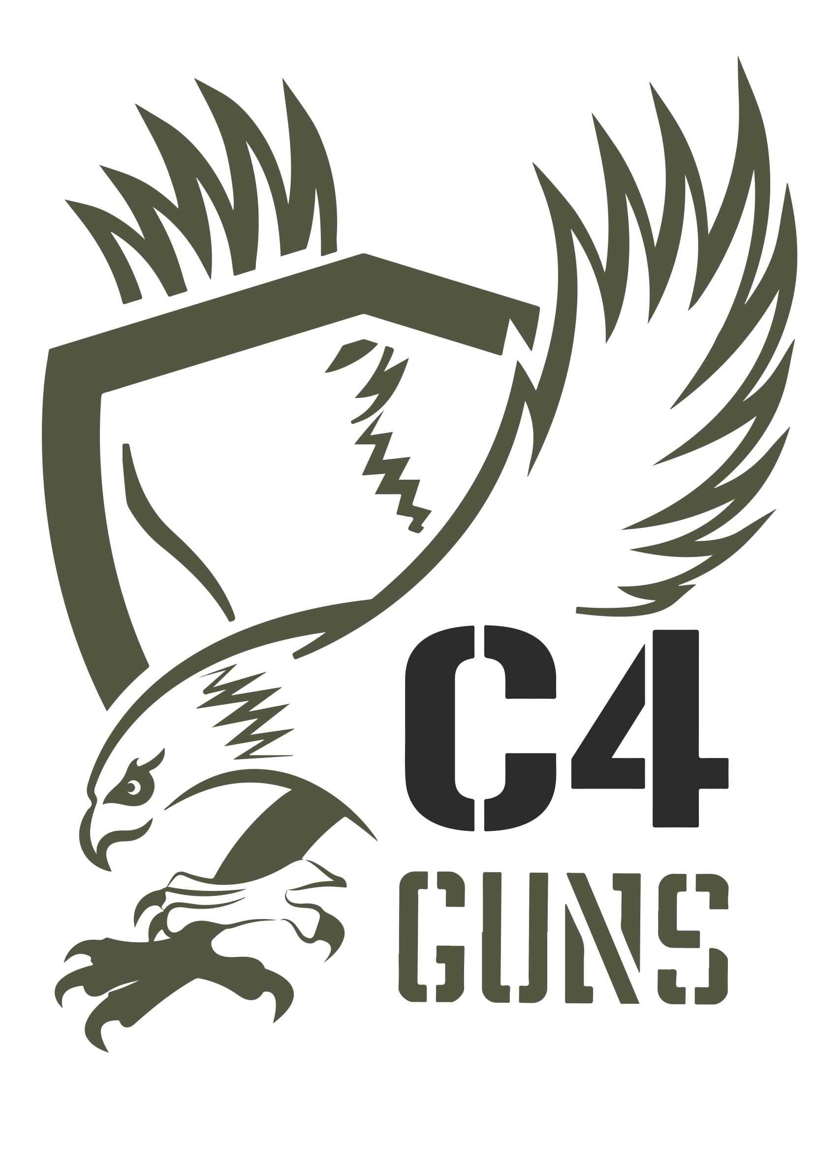 c4guns.jpg